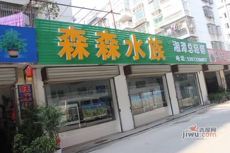 soho鸟巢效果图48