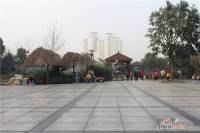 金芙蓉岳塘映象配套图图片