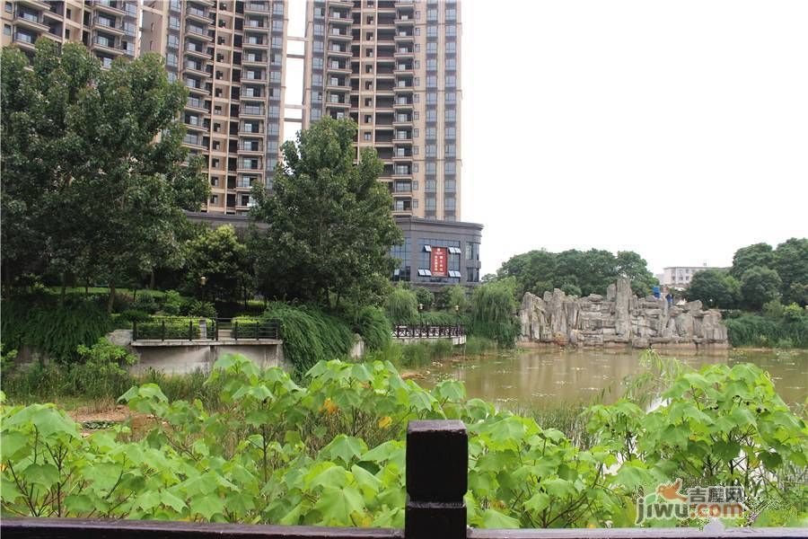 金芙蓉岳塘映象实景图44