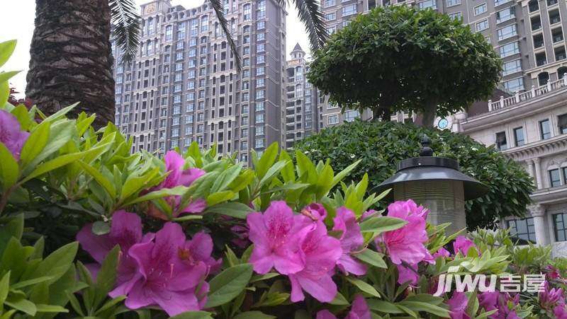 东方名苑实景图图片