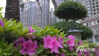 东方名苑实景图1