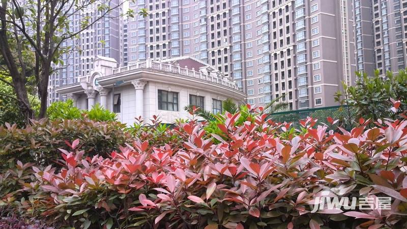 东方名苑实景图图片