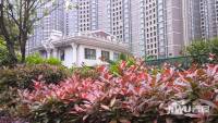 东方名苑实景图1