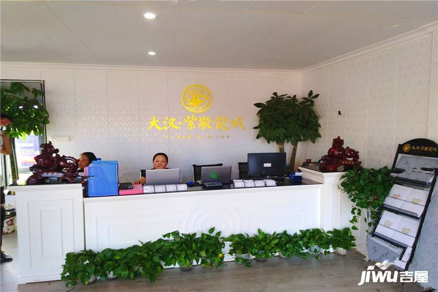 大汉紫敬龍城实景图2