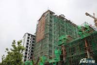东之阳江南小镇实景图13
