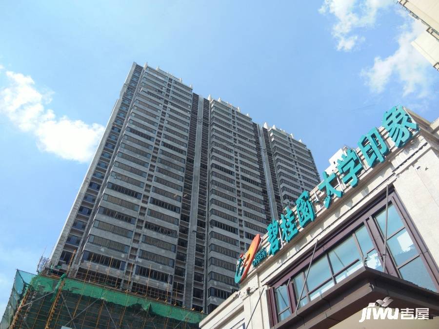 碧桂园大学印象实景图31