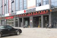 金芙蓉岳塘映象配套图图片