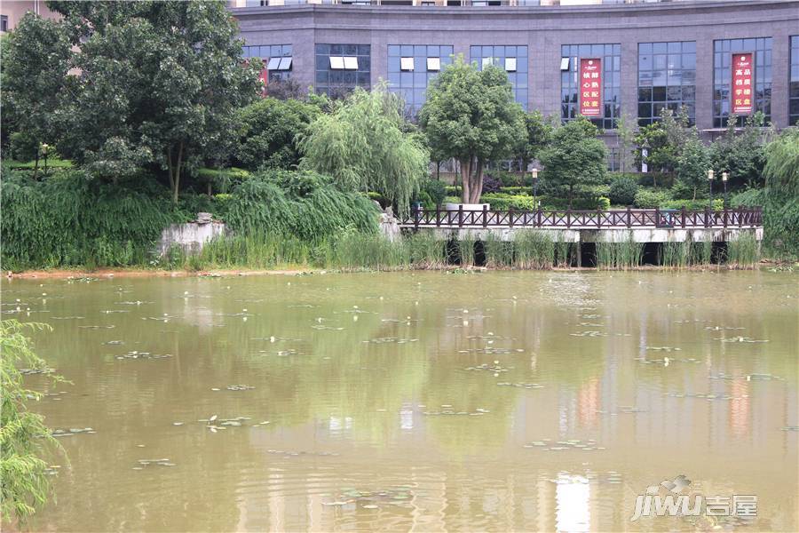 金芙蓉岳塘映象实景图25
