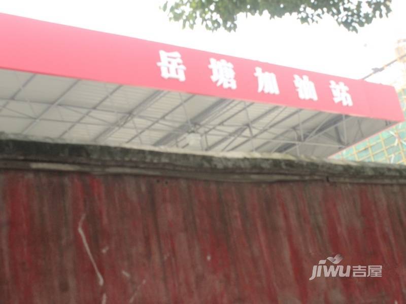 金芙蓉岳塘映象配套图3