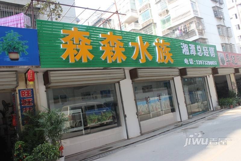 soho鸟巢效果图14